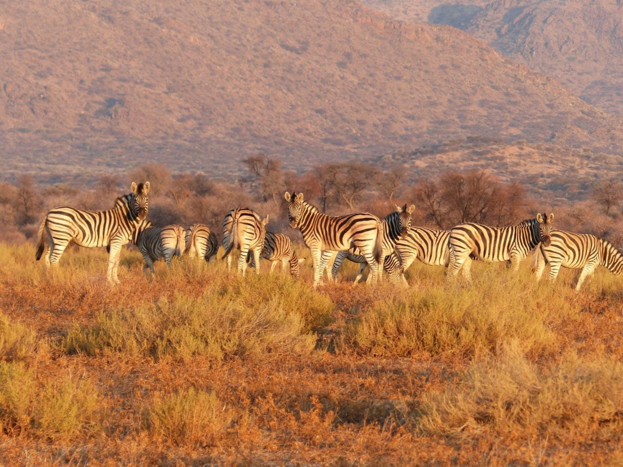 Namibia